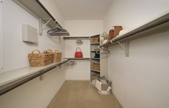 Model Walk-In Closet